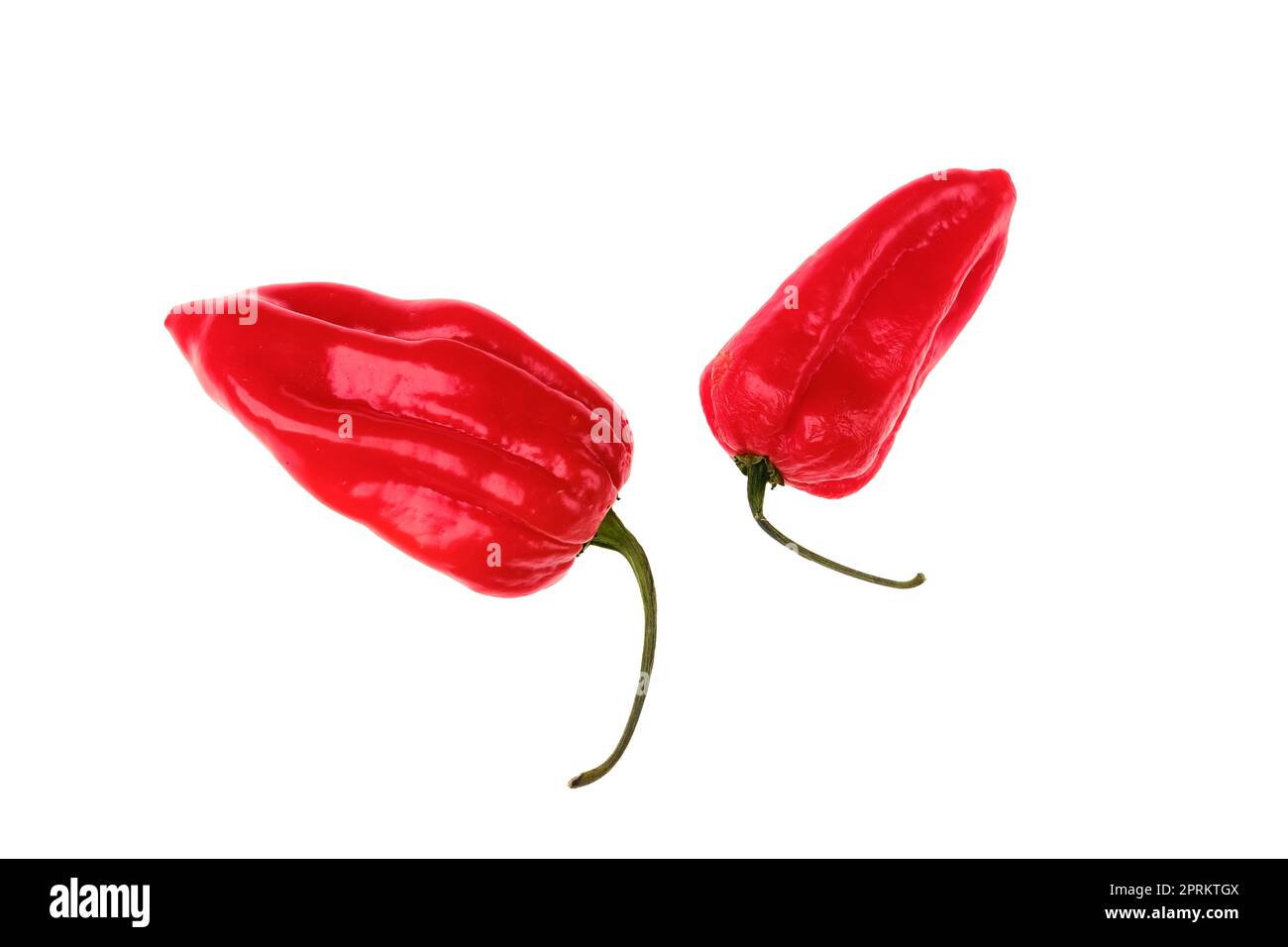 Fresh habanero pepper isolated on white background Stock Photo - Alamy