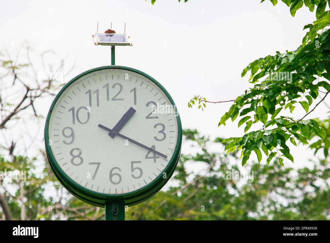 The green clock in the park is powered by the sun. Stock Photo