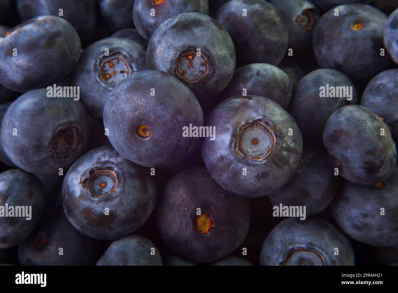 fresh blueberries background whortleberry bilberry organic berries close up background Stock Photo