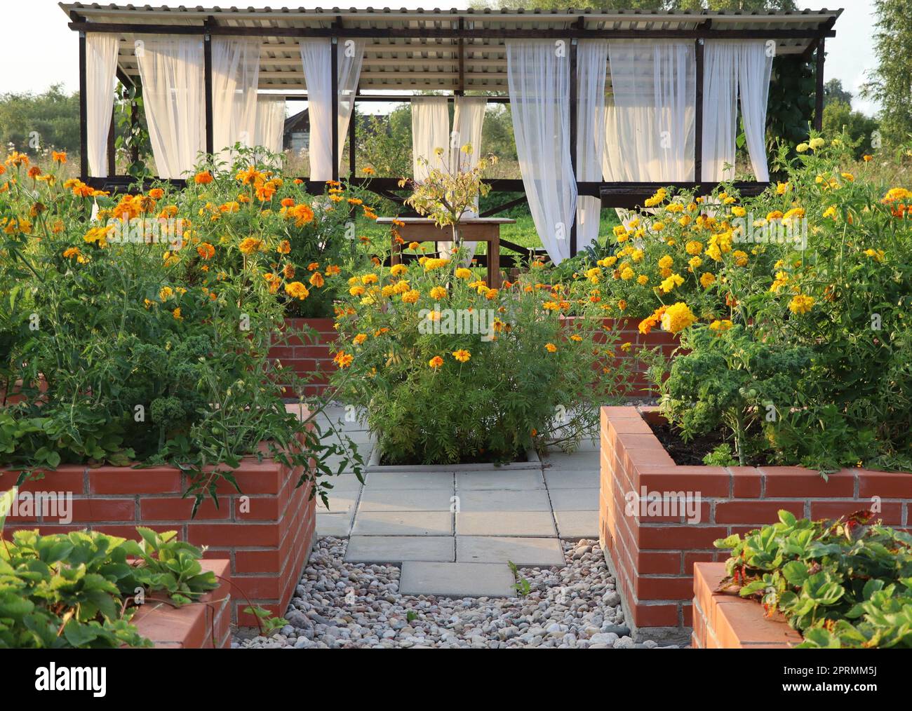A modern vegetable garden with raised briks beds . Raised beds