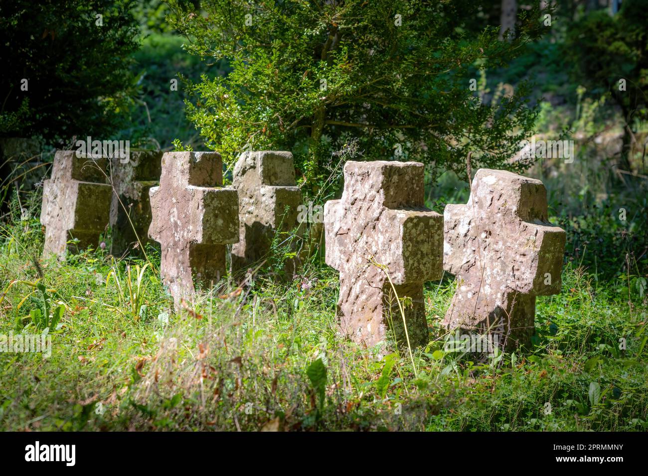 Very old tombstones made of red sandstone overgrown with grass and