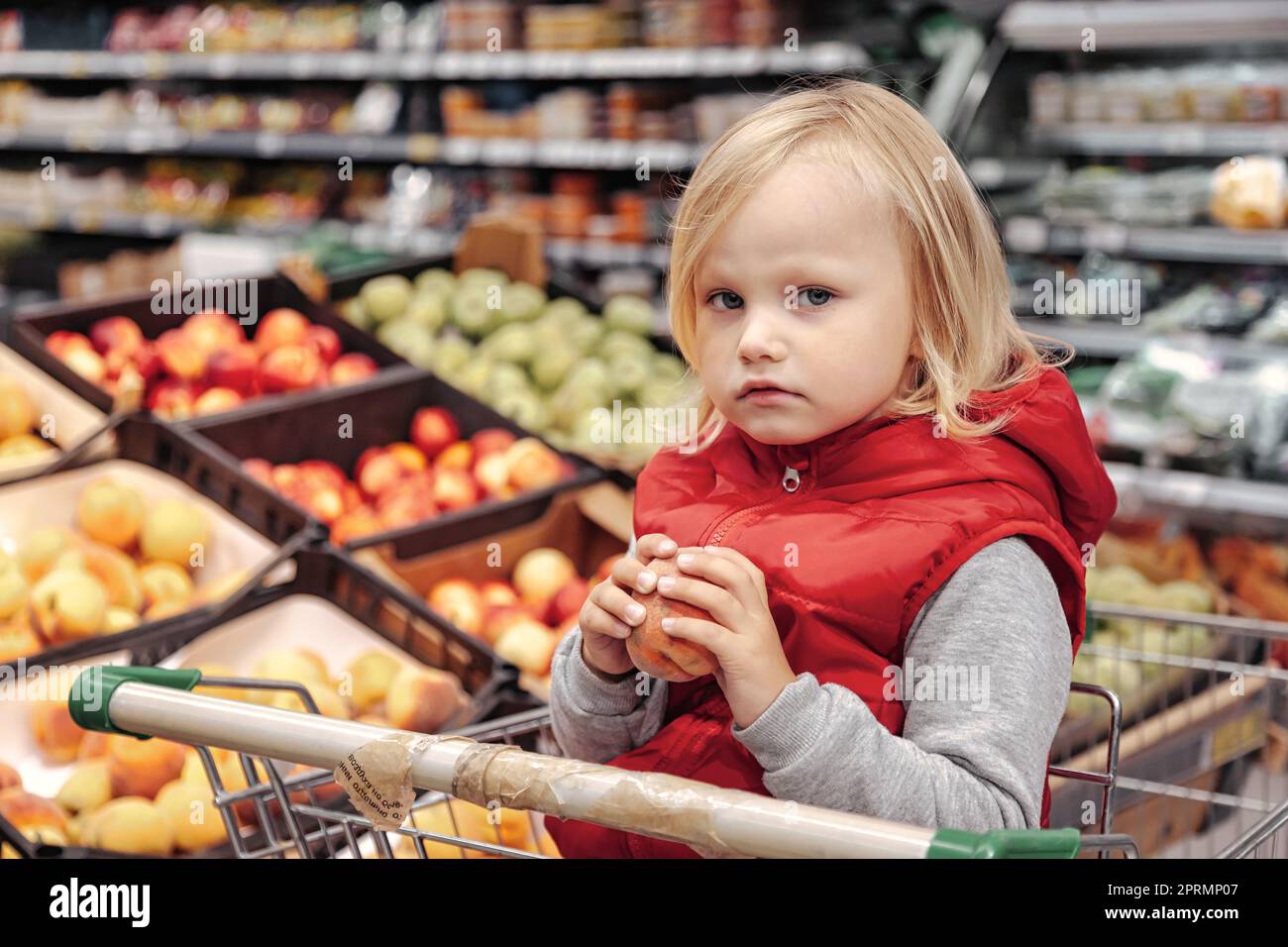 Adorable toddler girl sitting in shopping cart in food fruit store or ...