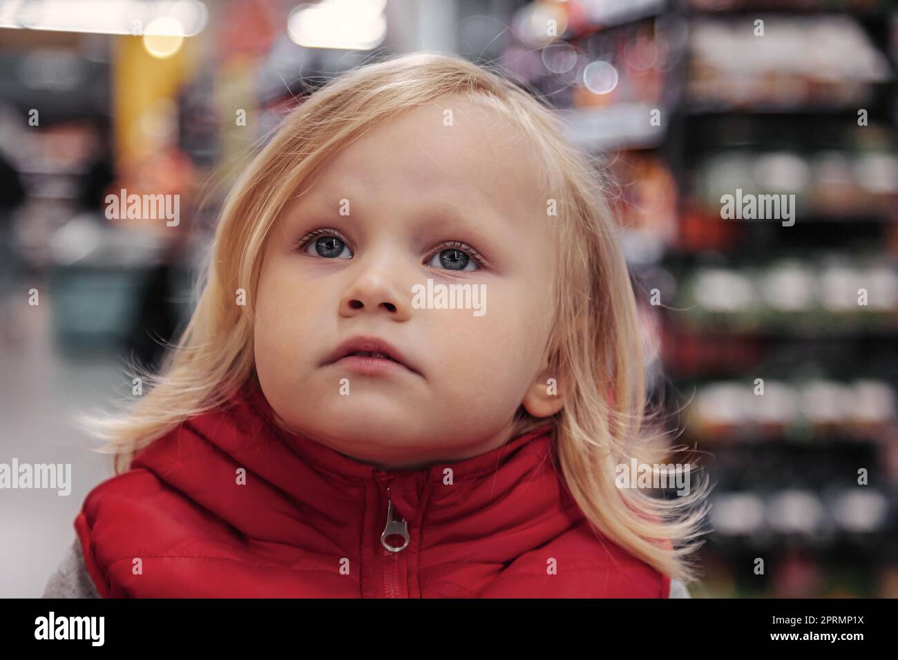 Adorable toddler girl sitting in shopping cart in store or supermarket