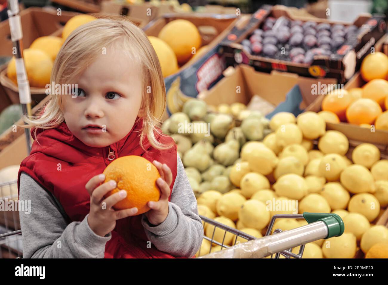 Adorable toddler girl sitting in shopping cart in food fruit store or ...