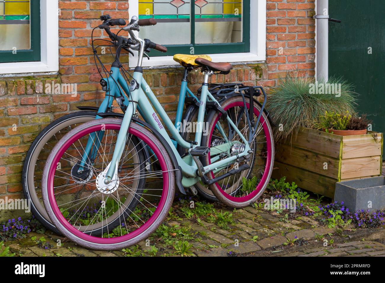 Gazelle bicycles hi-res stock photography and images - Alamy
