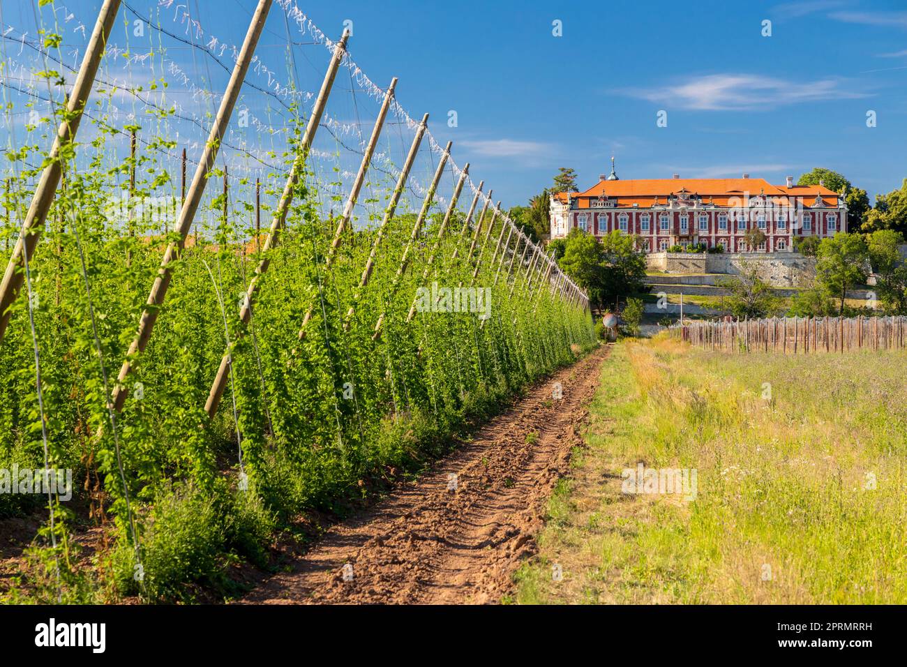 Field Rococo Czech rococo architecture hi-res stock photography and images - Alamy