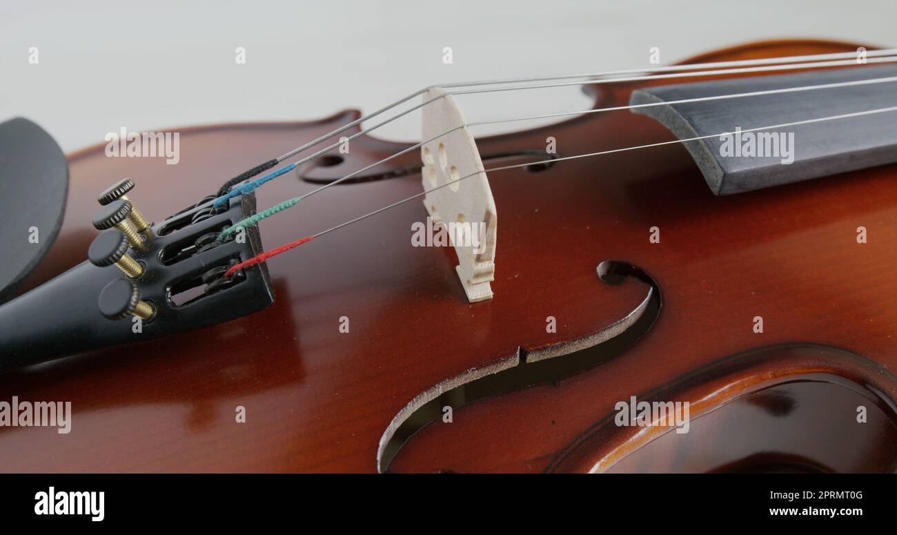Violin string and bridge close up Stock Photo Alamy