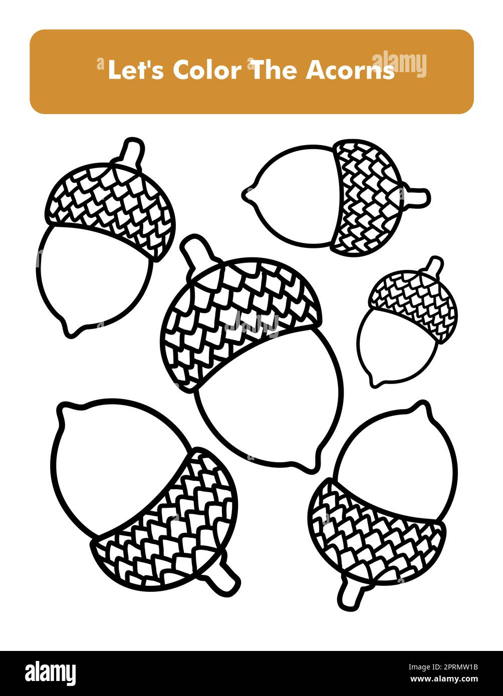 Acorns Coloring Book Page In Letter Page Size. Children Coloring Worksheet.  Premium Vector Element Stock Photo - Alamy