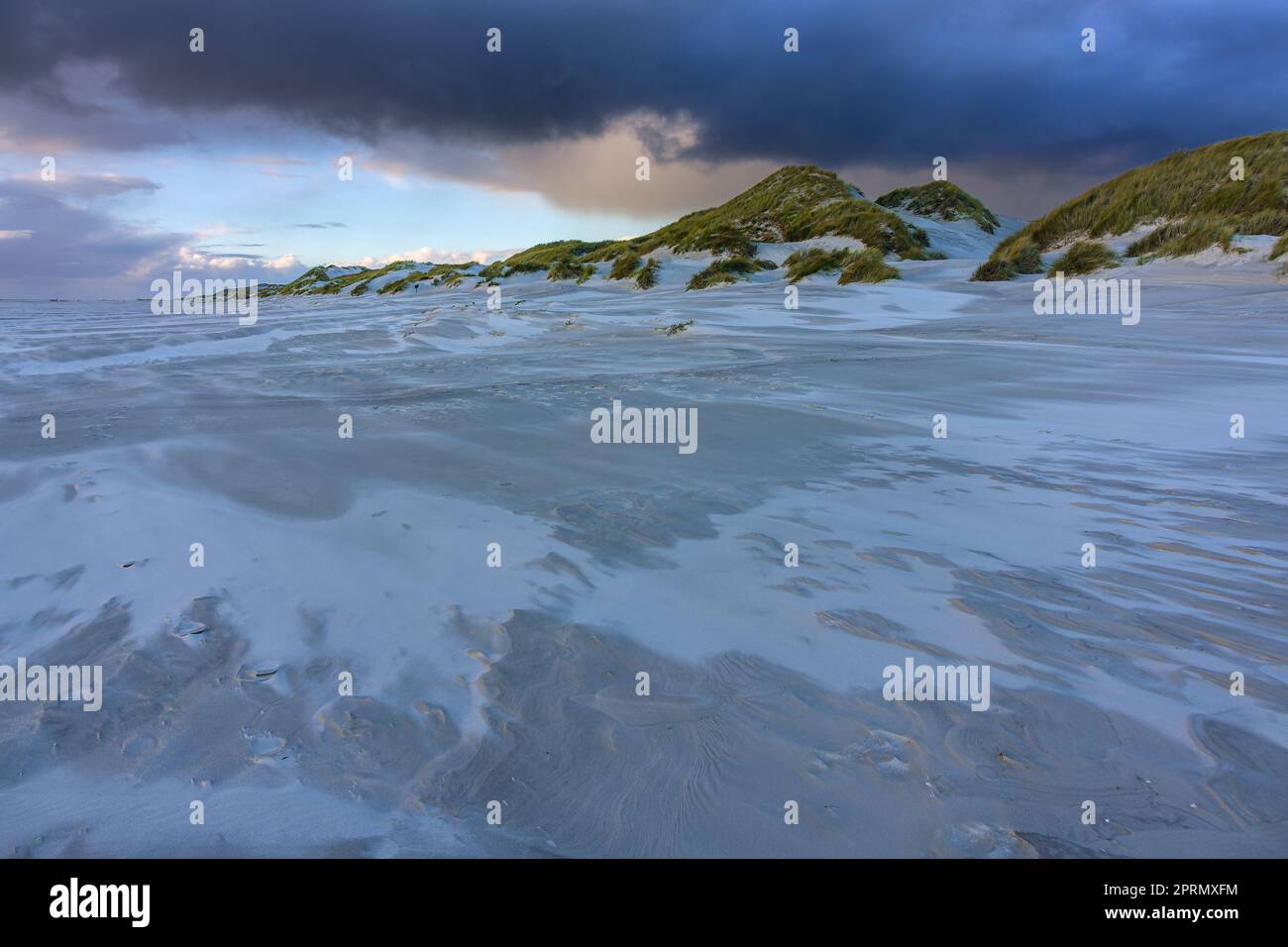 Landscape in the dunes on the North Sea island Amrum, Germany Stock Photo