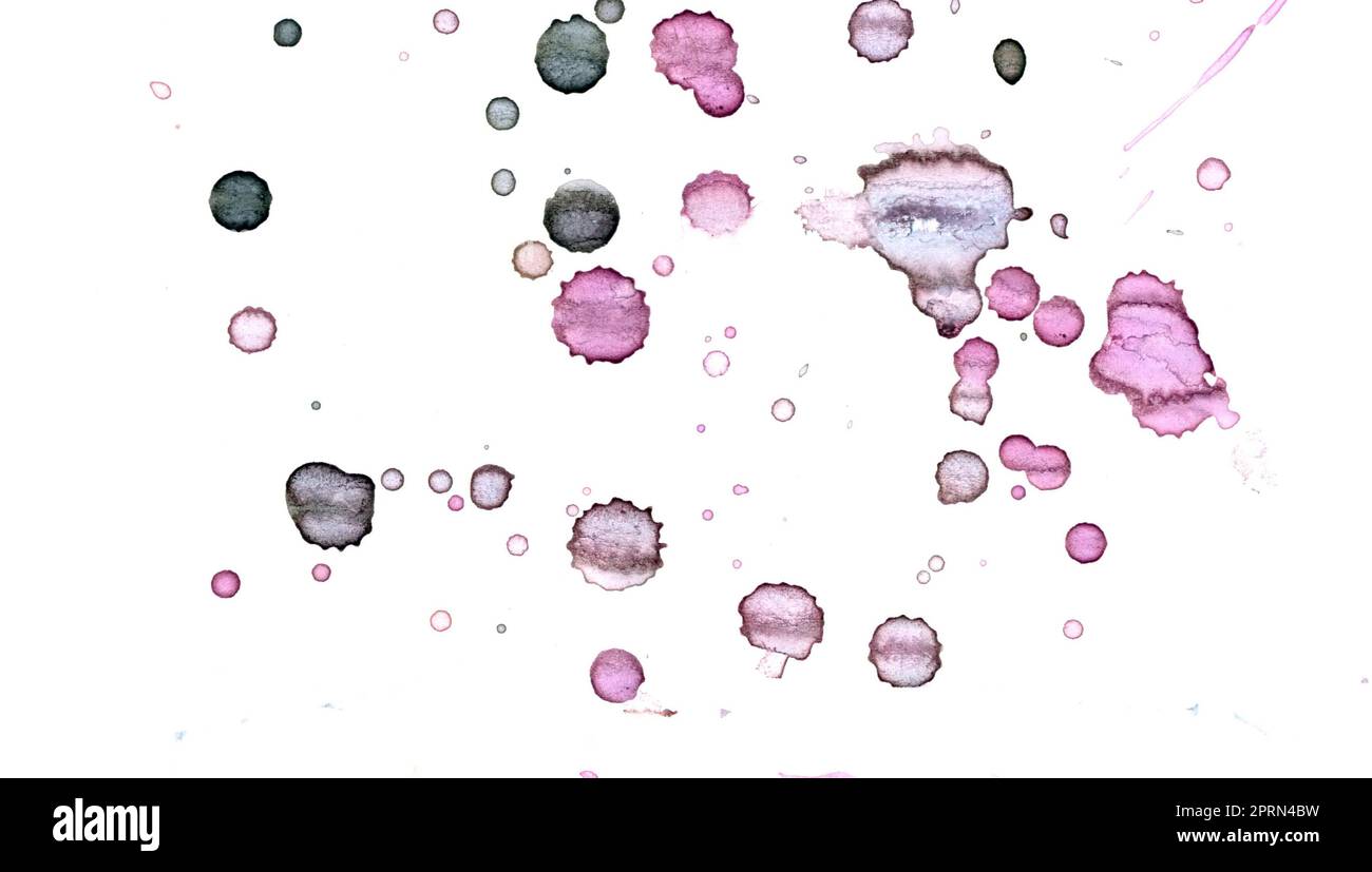 The Water Color main image 1