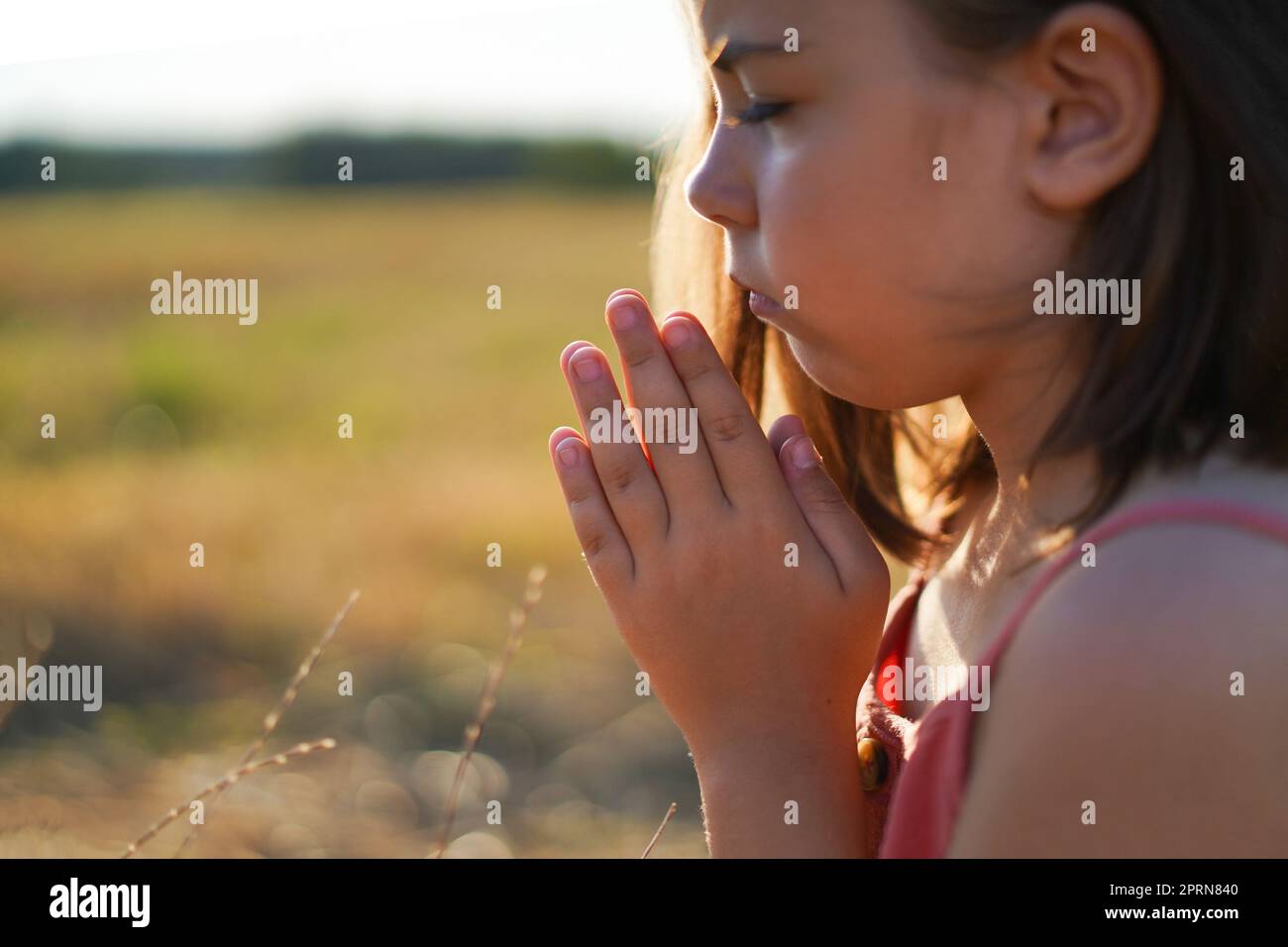 Little Girl closed her eyes, praying in a field. Hands folded in prayer ...