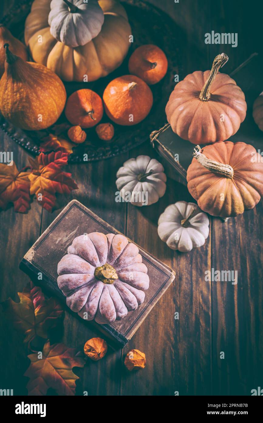 Rustic autumn still life with different pumpkins on wooden surface in ...
