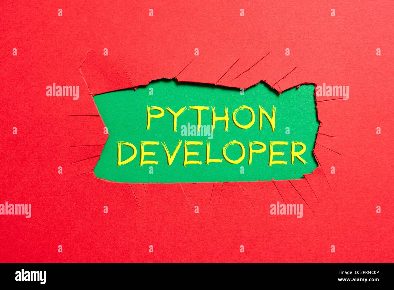 Text sign showing Python Developer, Business idea employees are rewarded for introducing suitable recruits Stock Photo