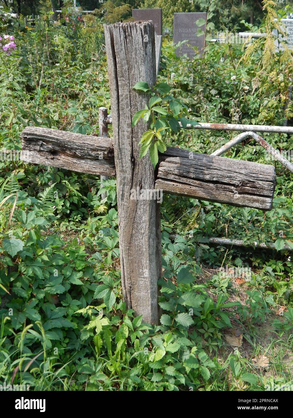 Crosses on graves cemetery and fences Stock Photo Alamy