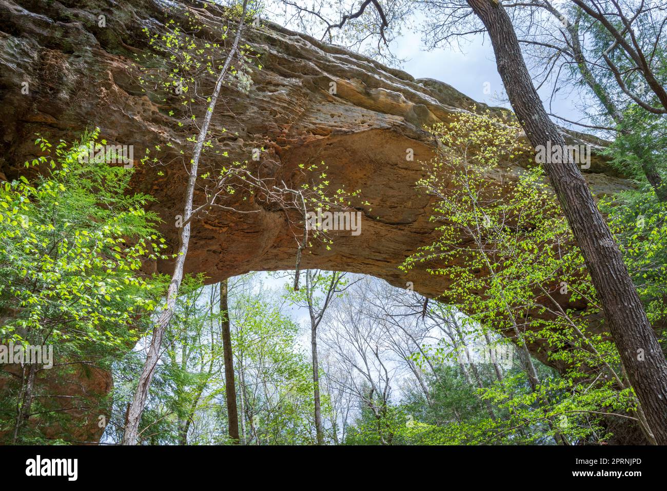 Big South Fork National River and Recreation Area in Kentucky Stock