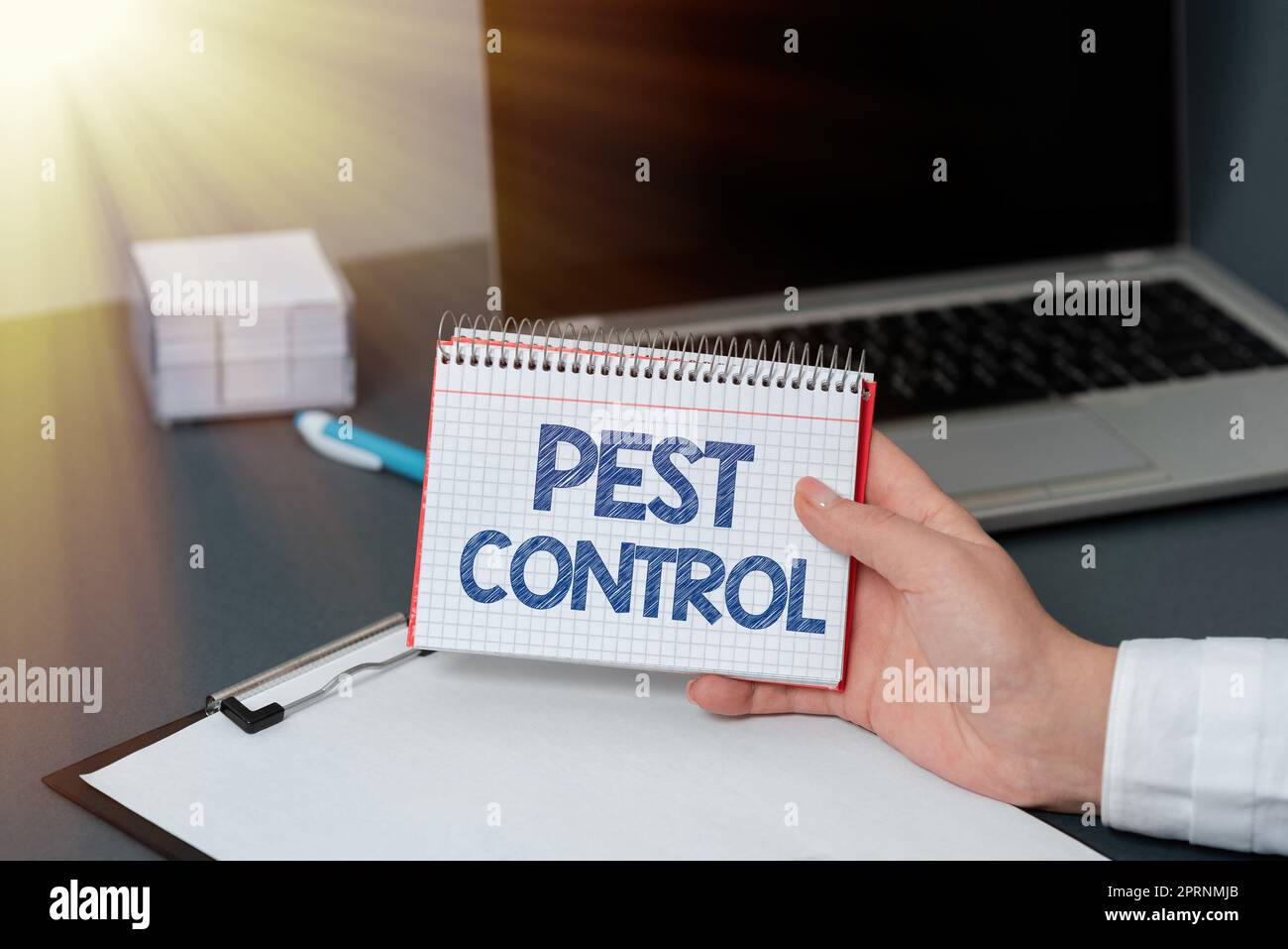 Hand writing sign Pest Control, Business showcase Killing destructive ...