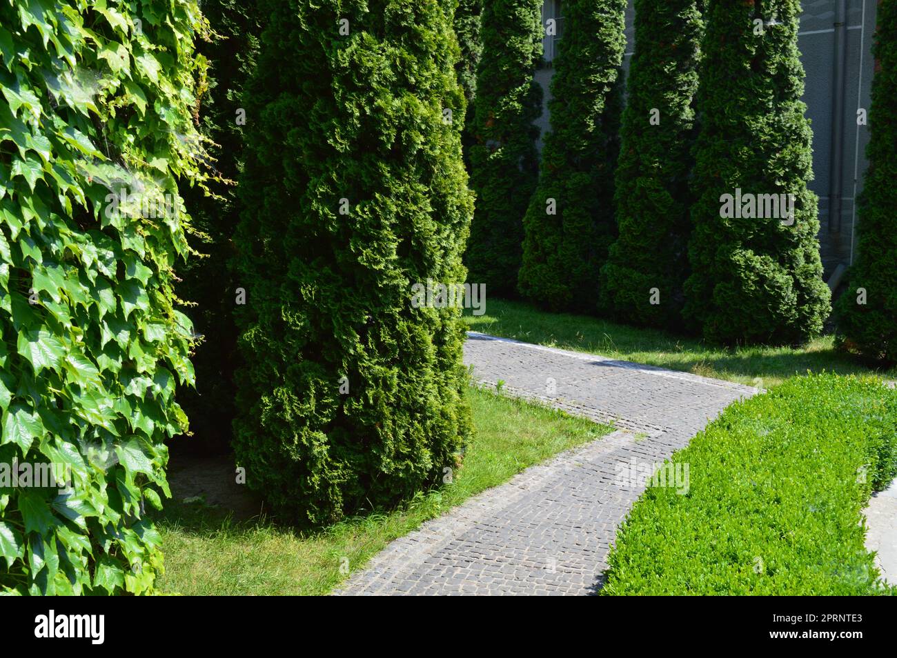 Landscape design of flower arrangements Stock Photo - Alamy