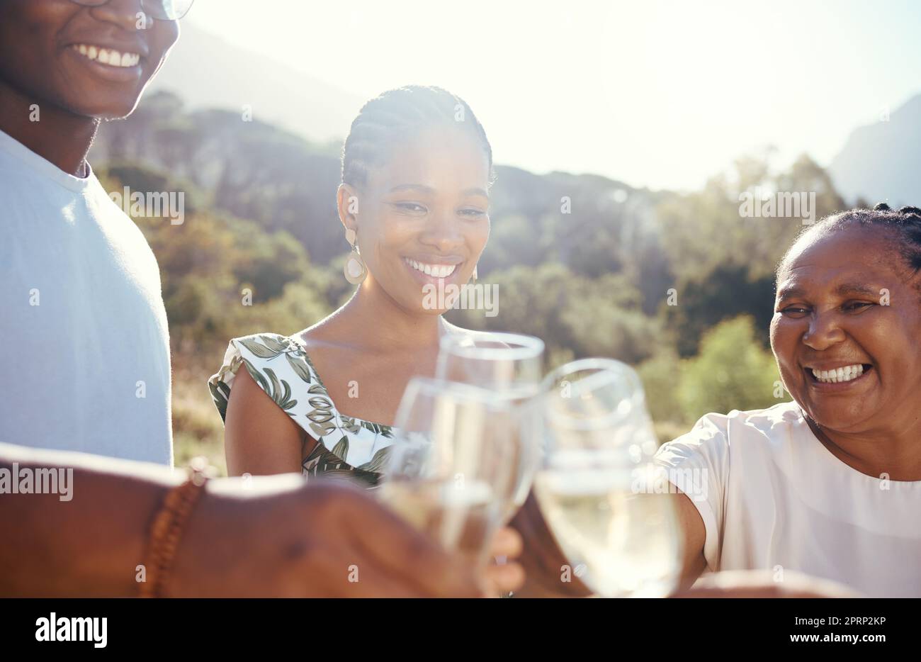 Vineyard celebration, wine or champagne glasses with family at an outdoor social event, picnic or park celebrating love, success and joy. Happy lifestyle of black people and women cheers with drinks Stock Photo