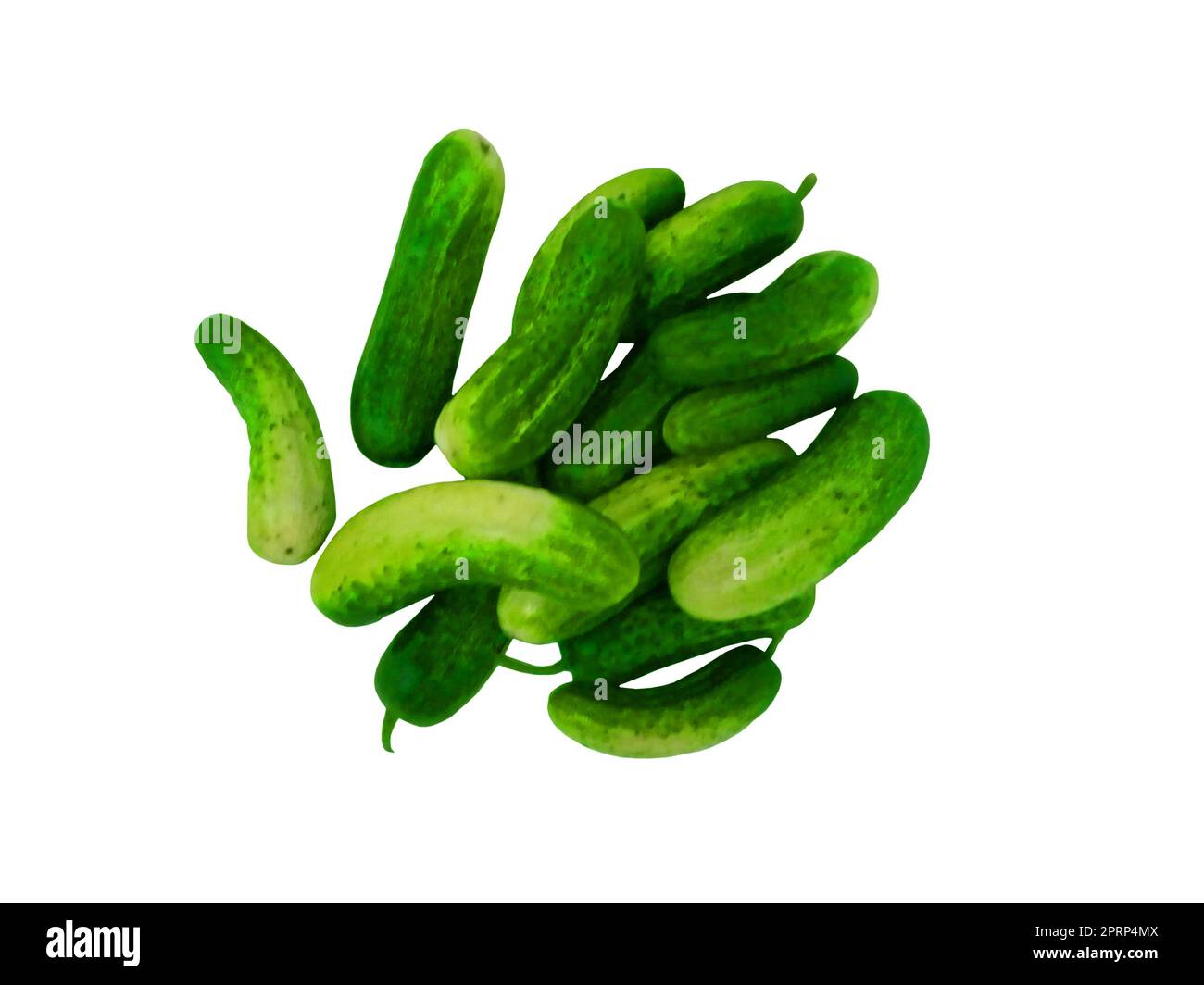 Cucumbers on a white background Stock Photo