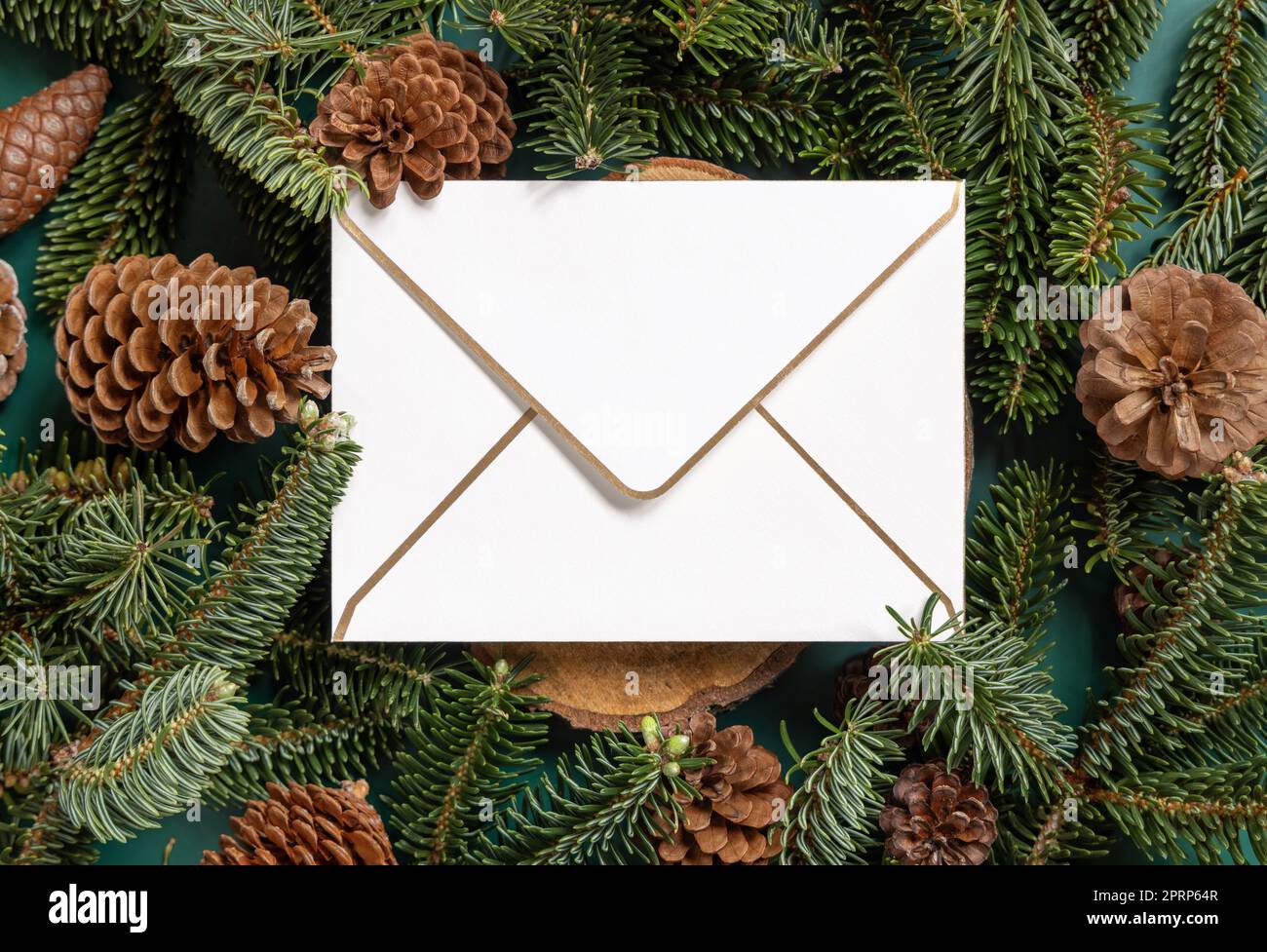 Christmas blank envelope between fir branches and pine cones on green ...