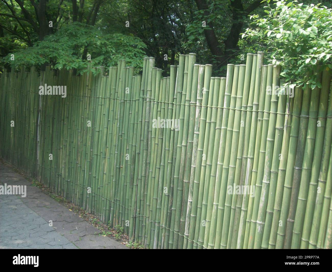 Travel to the city of Seoul South Korea Stock Photo - Alamy