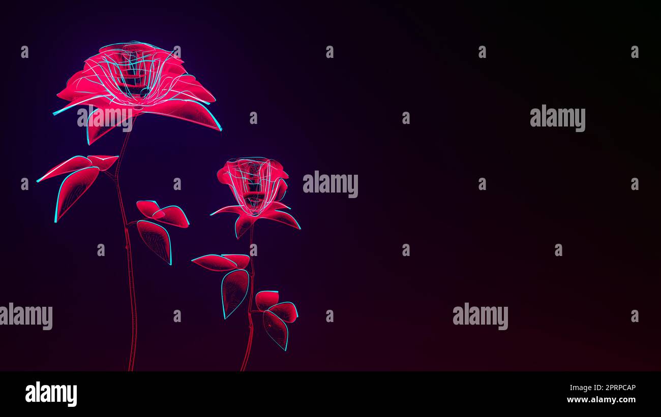 red flowers glowing drawing of roses on black copy space background ...