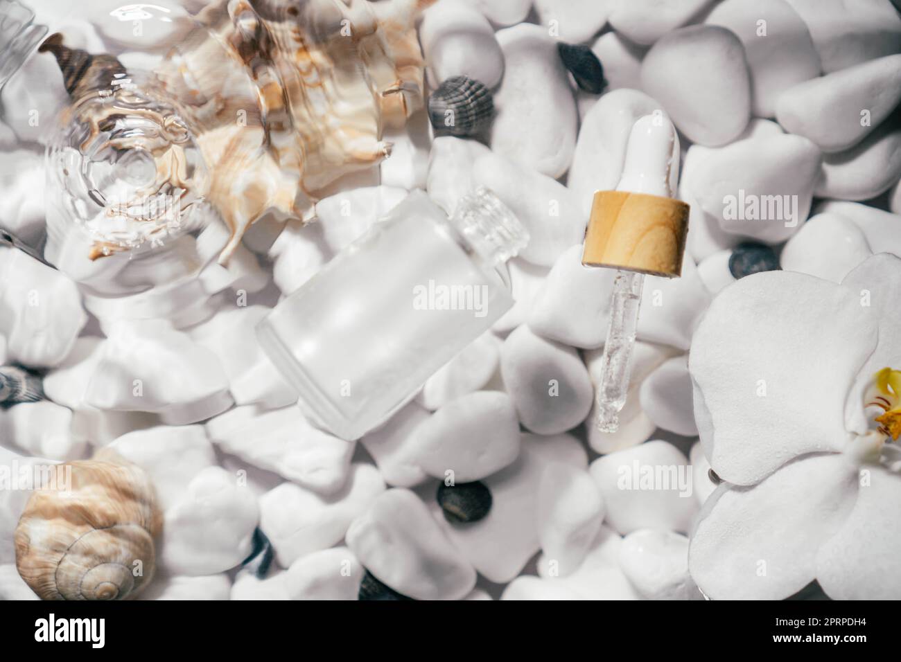 Facial pipette serum oil, essence cosmetic product in bottle on transparent fresh water with fleck and waves, bottom of white stones and shells. Organ Stock Photo