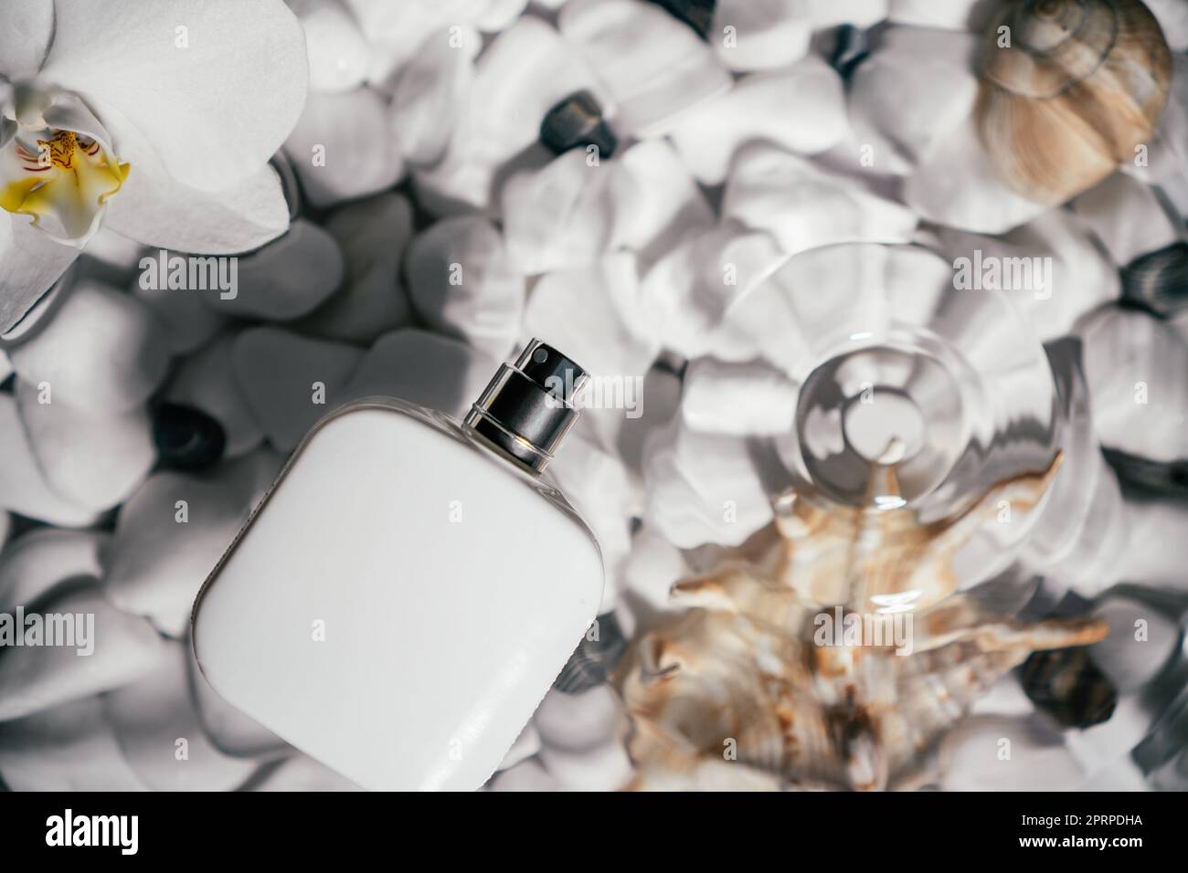 White square perfume bottle, vial in transparent fresh water with flecks  and waves above bottom of white stones and shell. Skin care protection.  Flat Stock Photo - Alamy