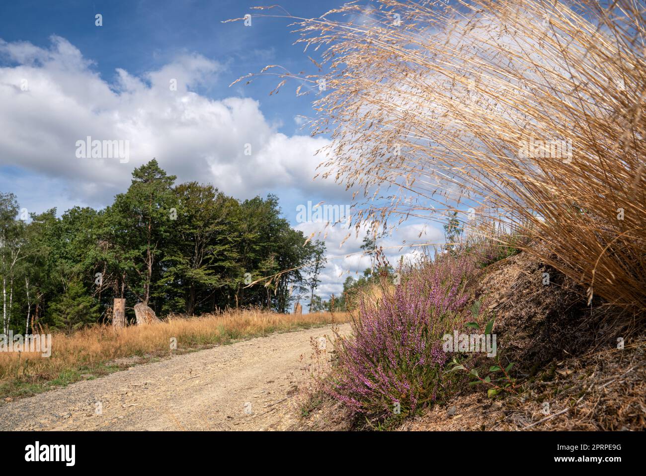 Long distance hiking trail Bergischer Panoramasteig, Bergisches Land