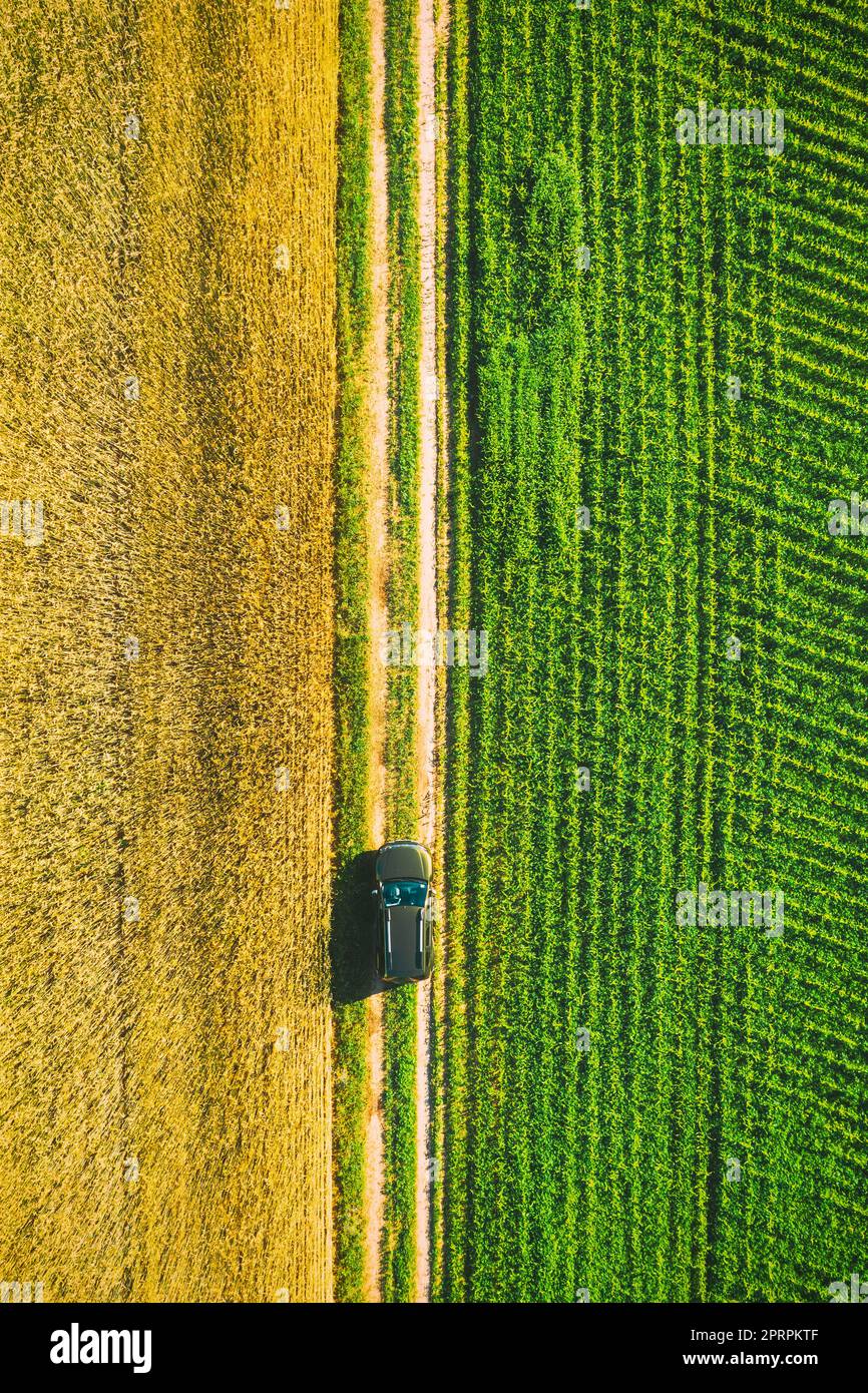Aerial View Of Car SUV Parked Near Countryside Road In Spring Field Rural Landscape. Car Between Young Wheat And Corn Maize Plantation. Stock Photo