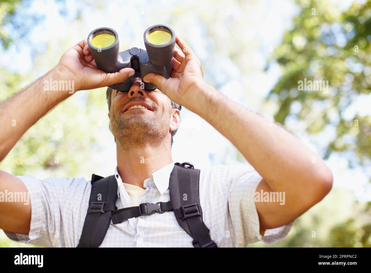 Identifying species hi-res stock photography and images - Alamy