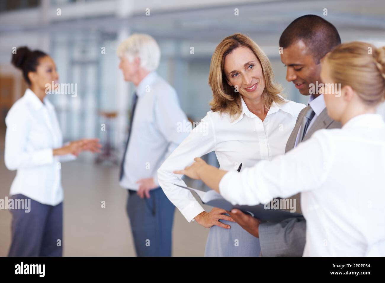Business people working together. Portrait of multi racial business people working together at office. Stock Photo