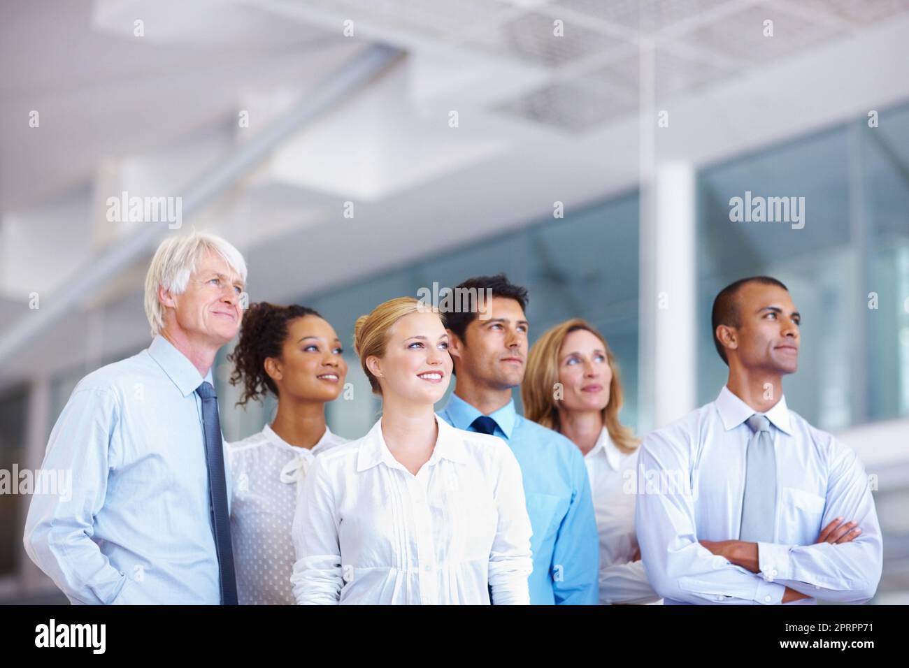 Dedicated business group together. Portrait of dedicated multi racial business team together at office. Stock Photo
