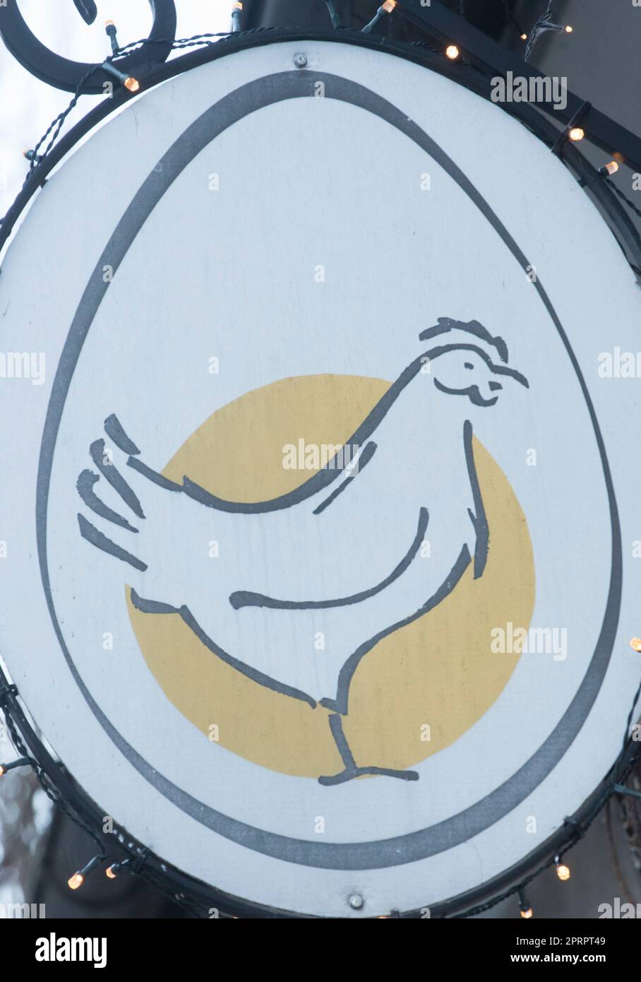 chicken in poultry husbandry and animal farming Stock Photo Alamy