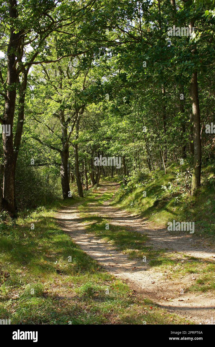 Explore the countryside. A country road meandering through a ...
