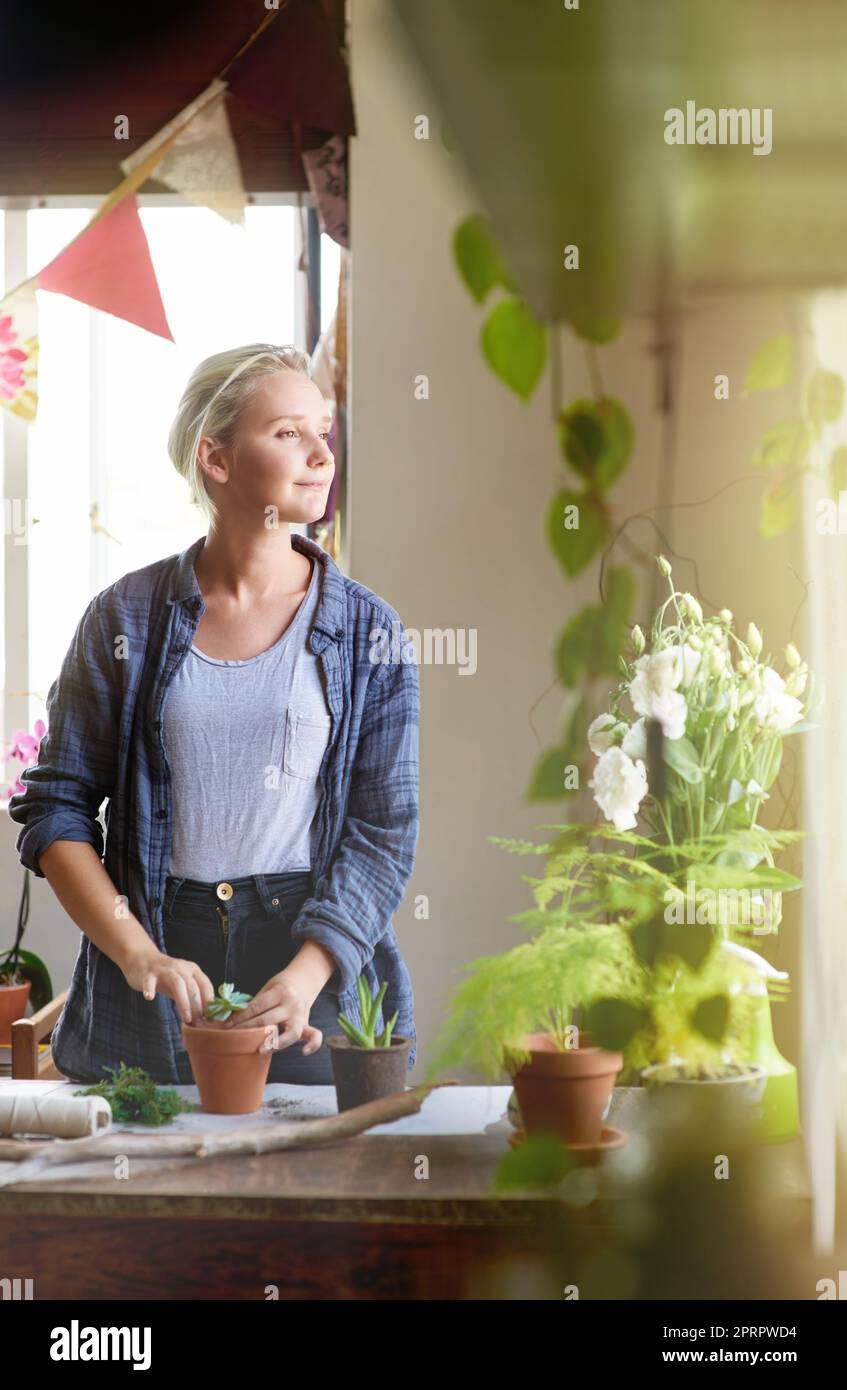 She loves working with plants. a young florist planting succulent