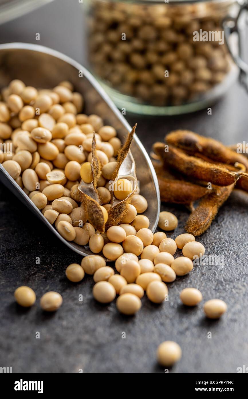 Soy beans. Dried soybean pod in scoop on black table. Stock Photo