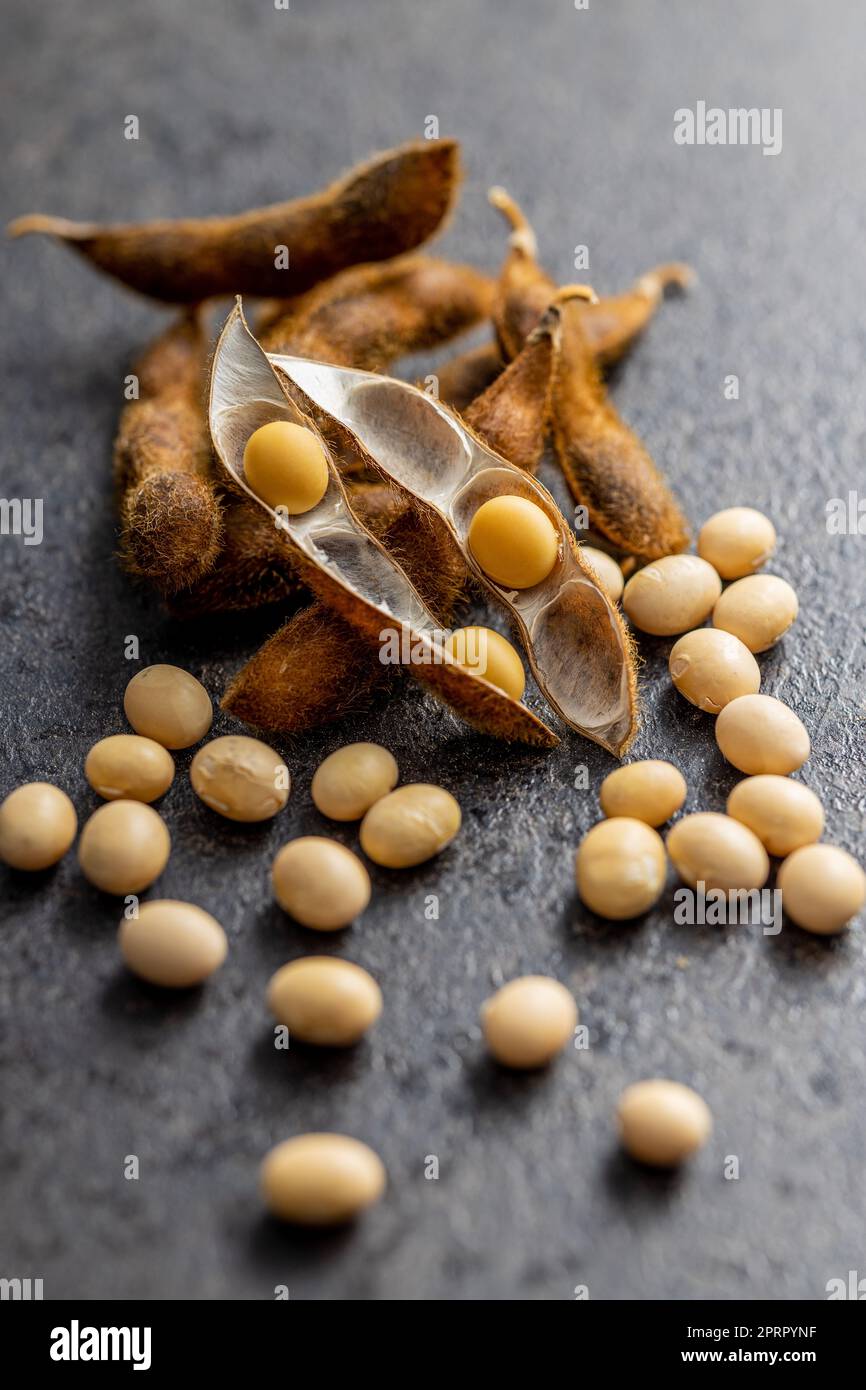 Soy beans. Dried soybean pod on black table. Stock Photo