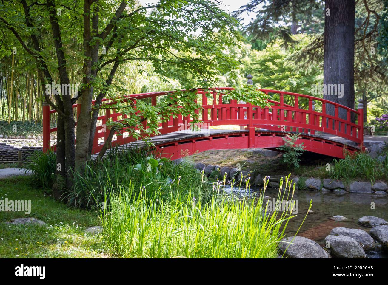 Traditional red wooden bridge on a japanese garden pond Stock Photo