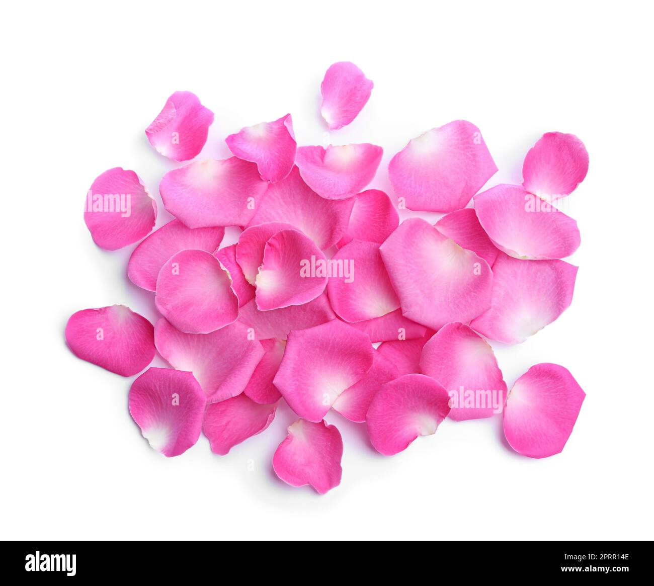 Many delicate vivid pink Cut Out Stock Images Pictures Alamy