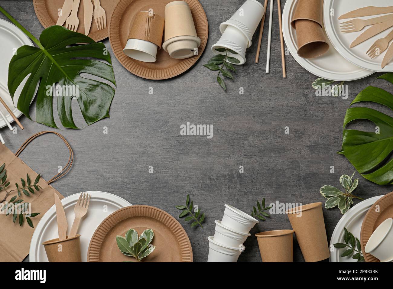 Frame of disposable tableware and different green leaves on grey ...