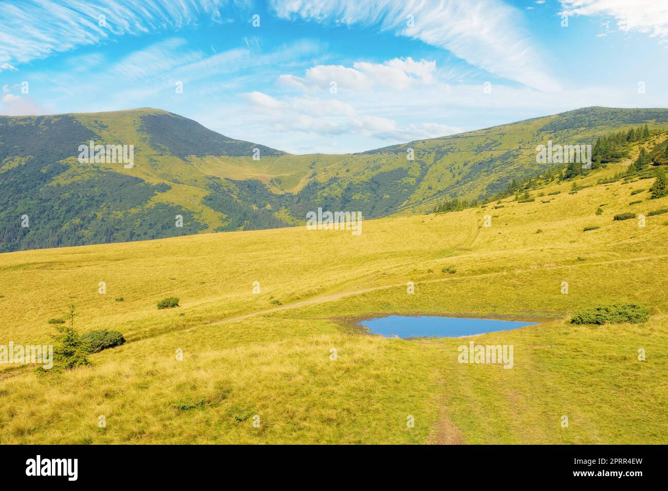 pond on the hill in morning light. wonderful nature scenery with grassy meadows in carpathian mountains Stock Photo