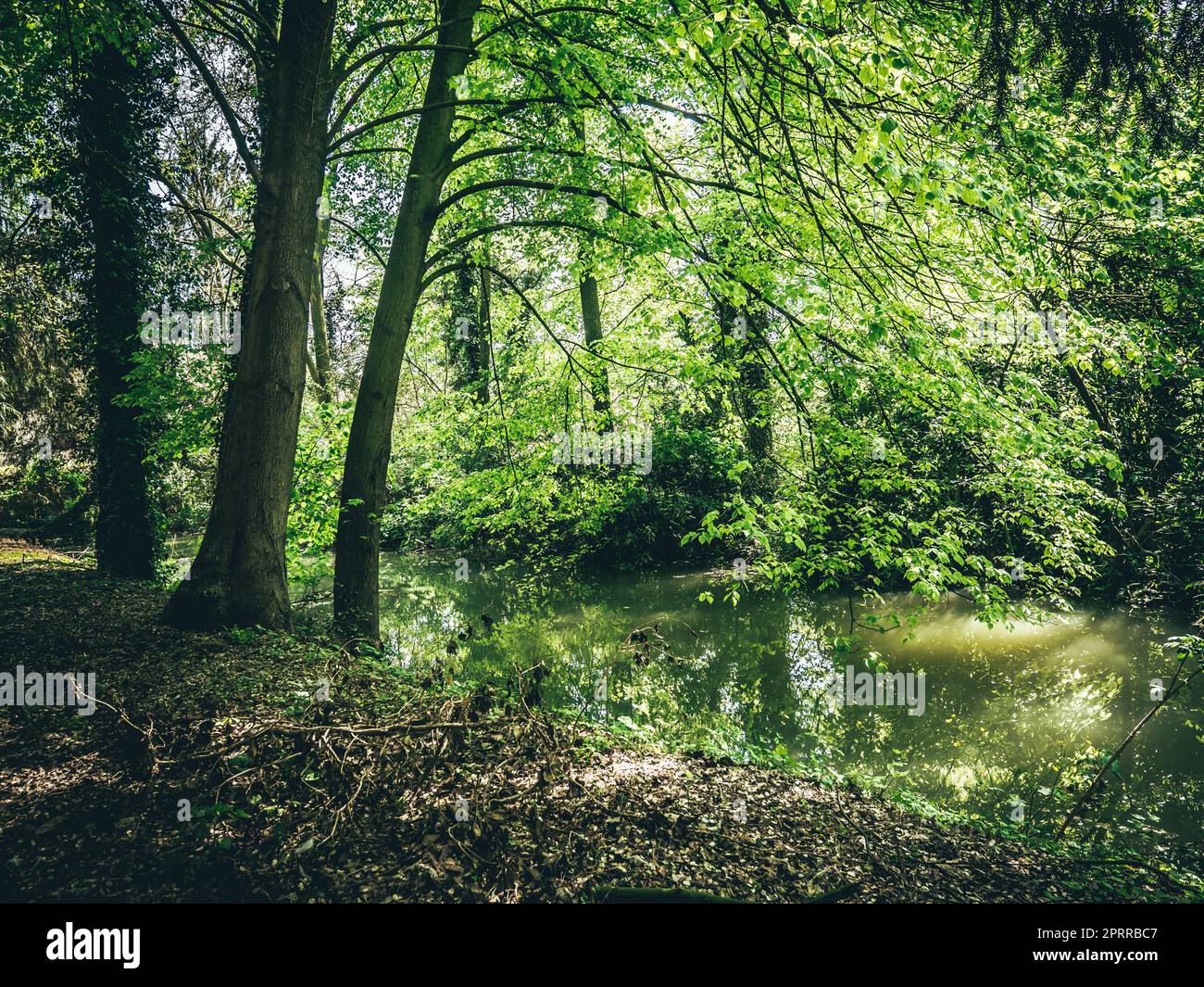 Embracing the Tranquil Charms of the Countryside Stock Photo