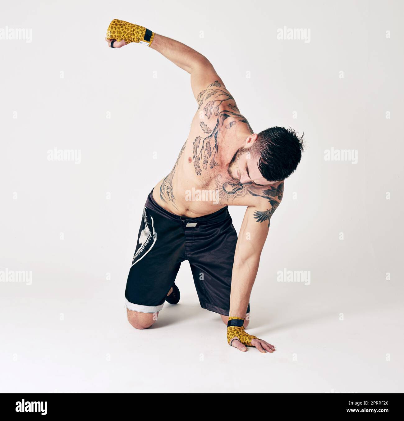 A champion is someone who gets up when he cant. an MMA fighter in the studio. Stock Photo