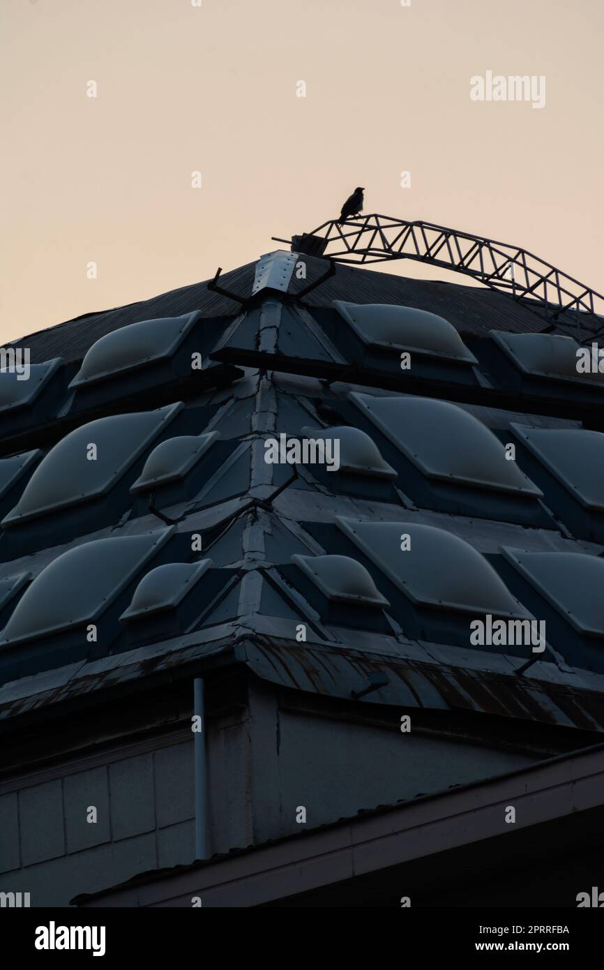 A crow on top of a modern building Stock Photo