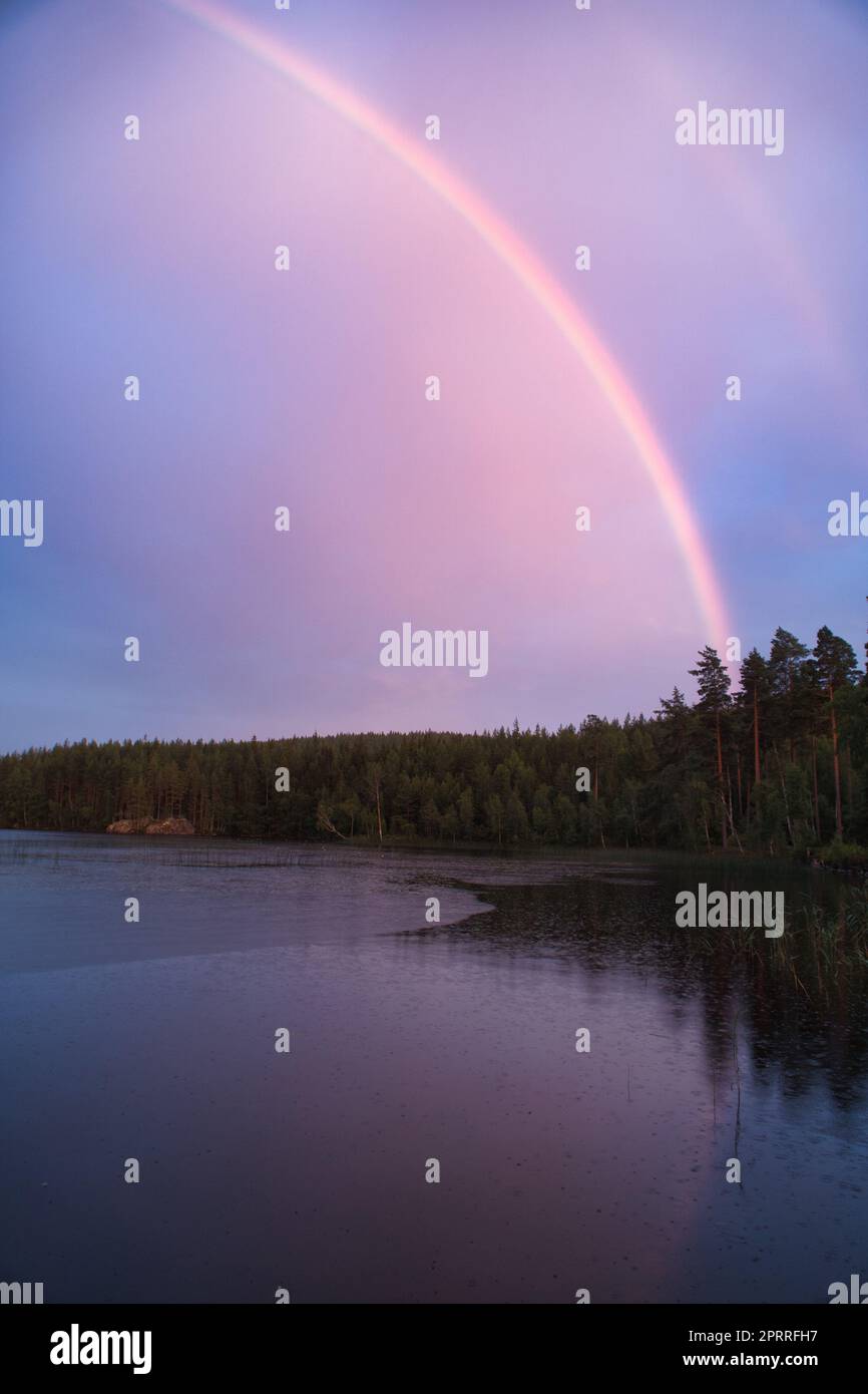 Rainbow reflected in the lake when it rains. on the lake reeds and water lilies. Stock Photo