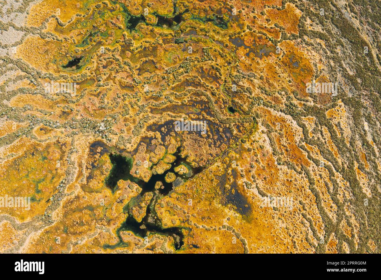 Miory District, Vitebsk Region, Belarus. The Yelnya Swamp. Upland And Transitional Bogs With Numerous Lakes. Elevated Aerial View Of Yelnya Nature Reserve Landscape. Famous Natural Landmark Stock Photo