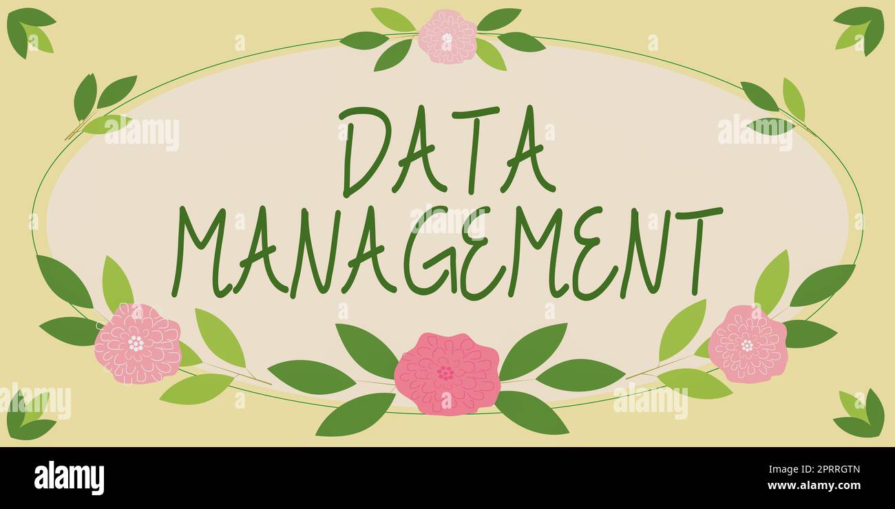 Handwriting text Data ManagementThe practice of organizing and maintaining data processes. Word for The practice of organizing and maintaining data processes Stock Photo