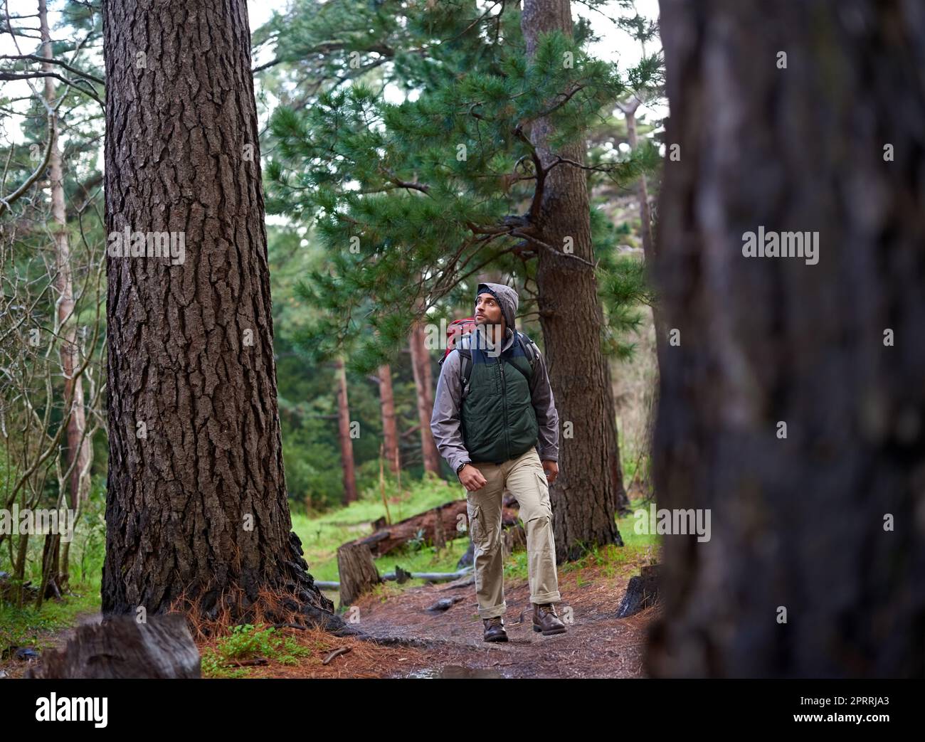 In touch with the power of nature. Full length shot of a young man wearing a backpack while hiking in the forest. Stock Photo