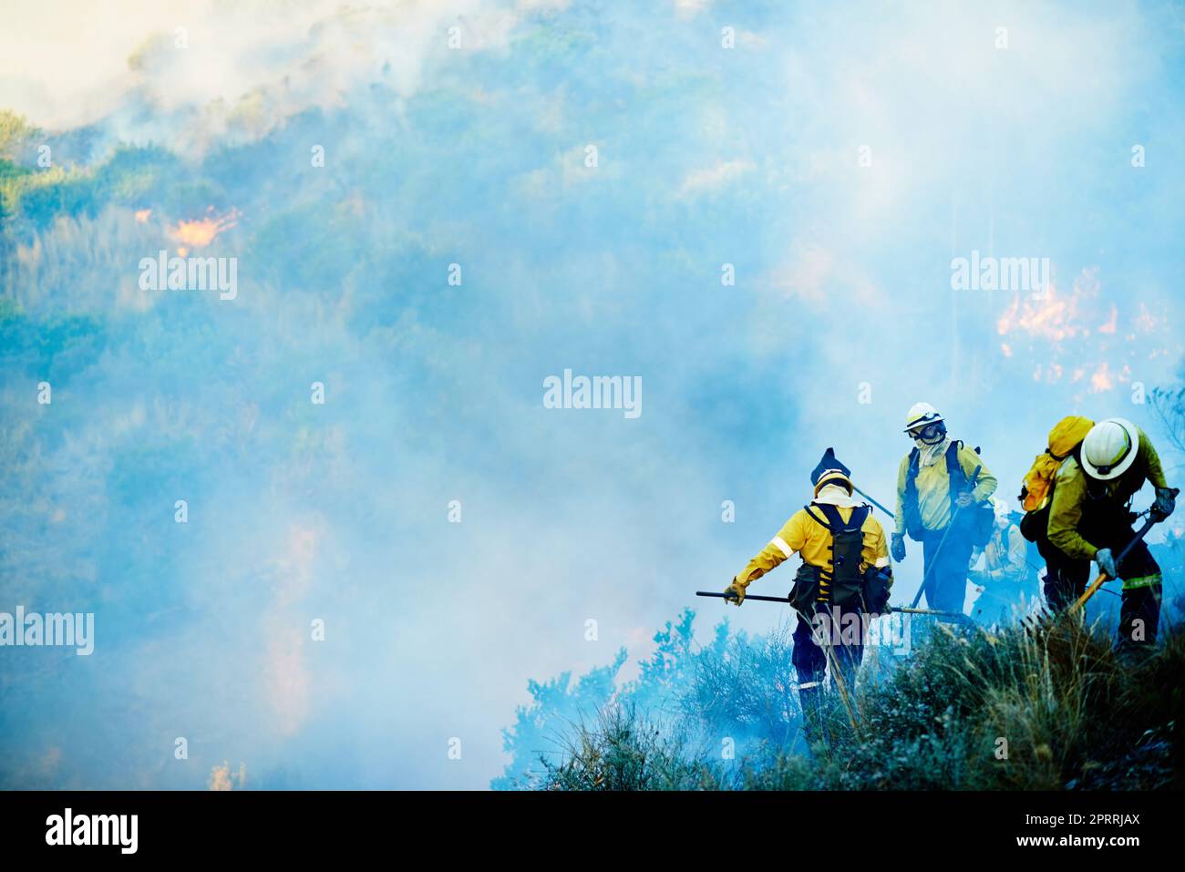 Combating the wild fire. fire fighters combating a wild fire Stock ...